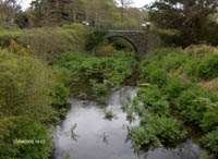 Paysage du Killarney National Park