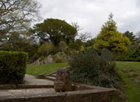 Jardin de la Muckross House
